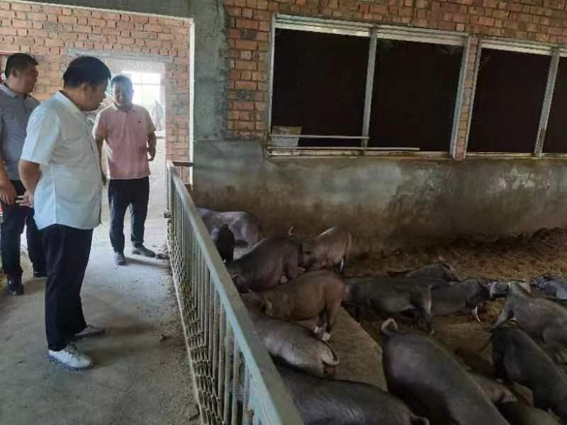 微信图片_20230917130546