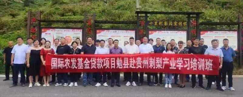 图片2