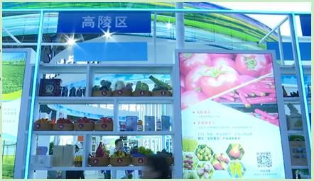 微信图片_20230921181158