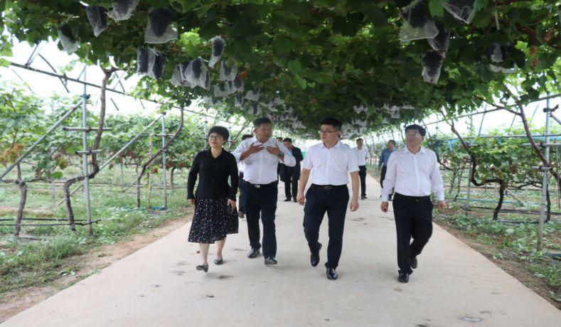 礼泉举行咸阳现代农业产教联合体揭牌暨职业教育苏陕合作签约仪式84
