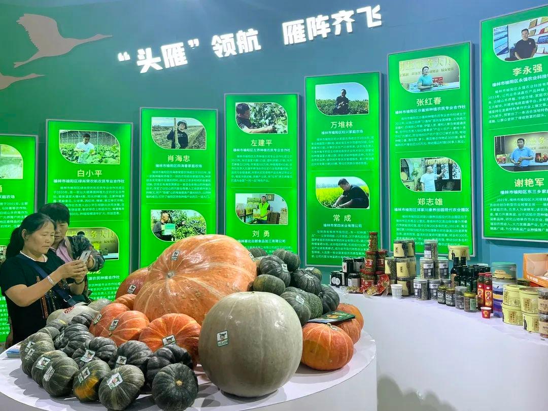 微信图片_20230920101703