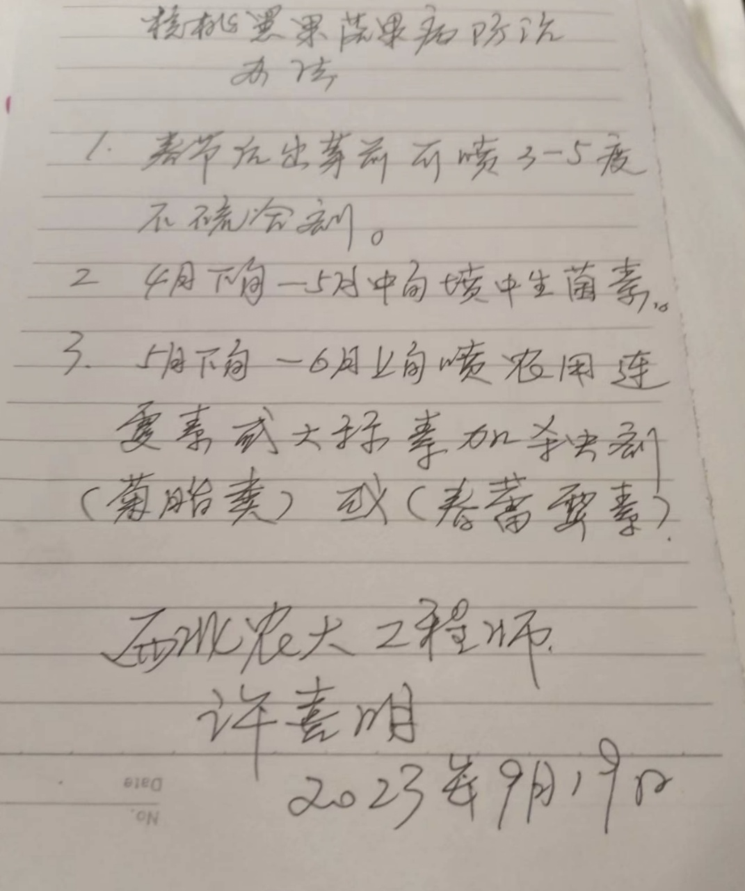 bd626ff8b5c349ffa93a612413ca21b8.png
