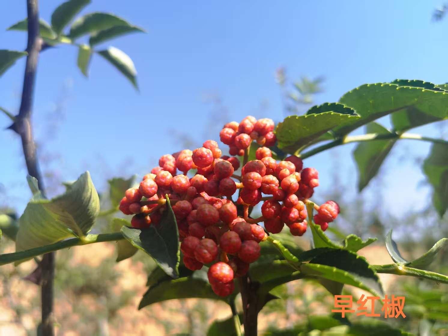 5f8eefbc69cc46c07cdbfd659da4b7e5