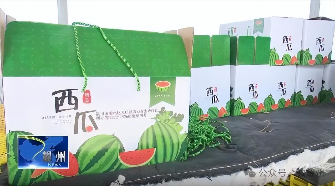 陕西省耀州区马咀村：吊篮西瓜喜获丰收 甜了“舌尖”富了瓜农 - 智慧中国